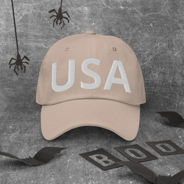 classic dad hat stone front 66df814bbbcd7