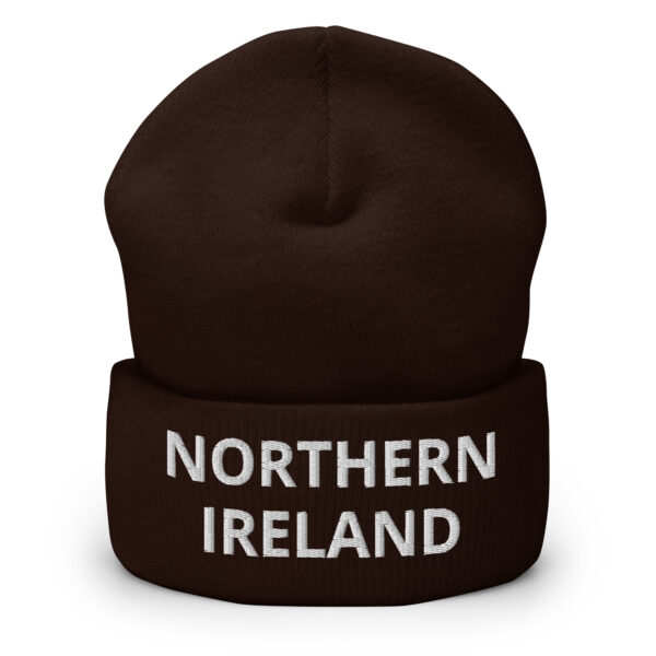 cuffed beanie brown front 66da24e324d80