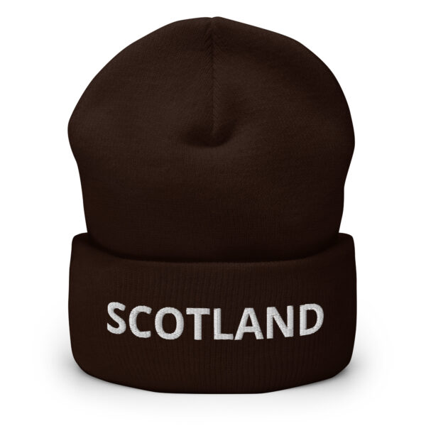 cuffed beanie brown front 66da254db8e74 1