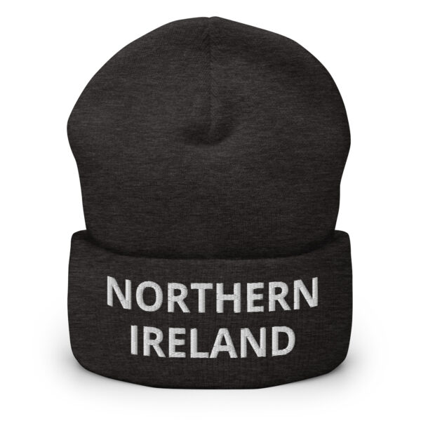 cuffed beanie dark grey front 66da24e325033