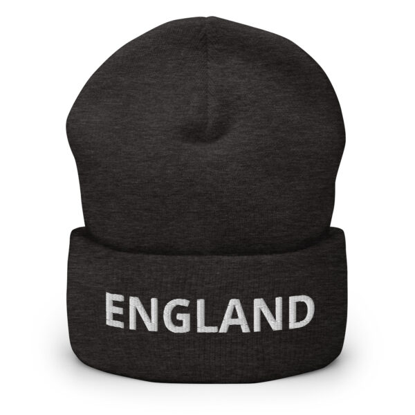 cuffed beanie dark grey front 66da259350394 1