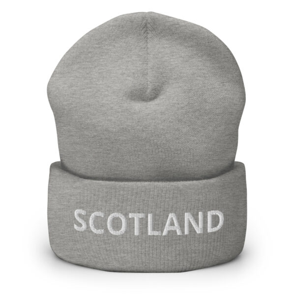 cuffed beanie heather grey front 66da254db960a 1