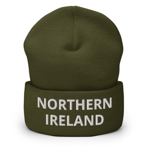 cuffed beanie olive front 66da24e325438