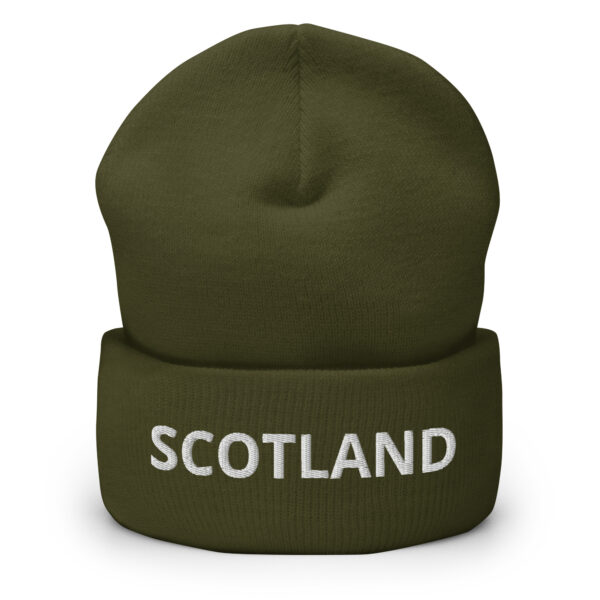 cuffed beanie olive front 66da254db9399 1