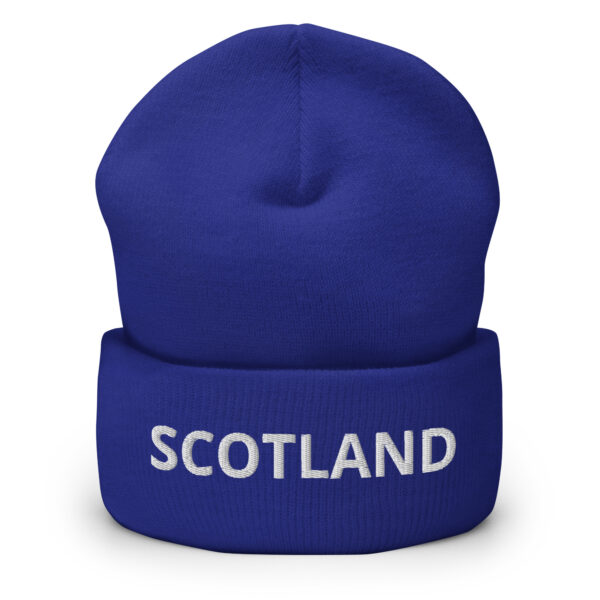 cuffed beanie royal front 66da254db272d 1