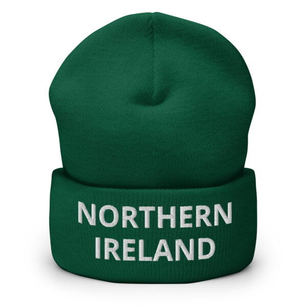 cuffed beanie spruce front 66da24e322d4b