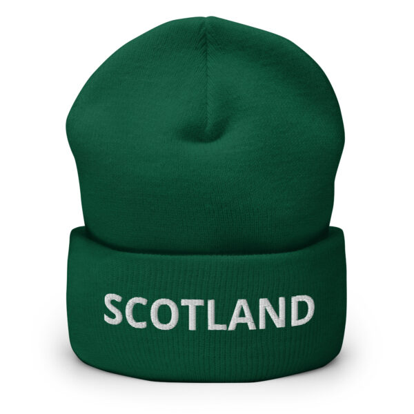 cuffed beanie spruce front 66da254db94c6 1