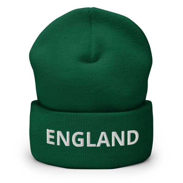 cuffed beanie spruce front 66da2593507bc 1
