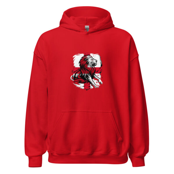 unisex heavy blend hoodie red front 66daed2e1d3f6